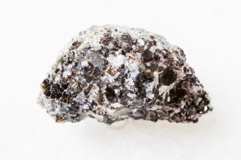 macro photography of sample of natural mineral from geological collection - raw Phlogopite (magnesium mica) mineral on rock from Kovdor deposit, Kola Peninsula on white marble background
