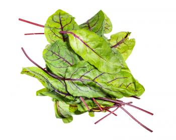 heap of fresh leaves of green Chard leafy vegetable (mangold, beet tops) isolated on white background