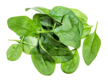 pile of fresh green leaves of Spinach leafy vegetable isolated on white background