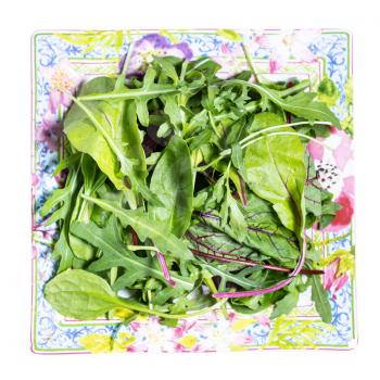 top view of mix of assorted small young salad greens on decorative square plate isolated on white background