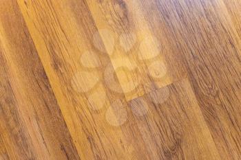 top view of oak wooden planks of laminate floor indoor