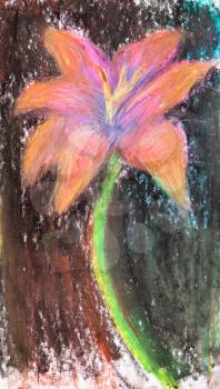 sketch of lily flower on black background hand-drawn by pastel on paper