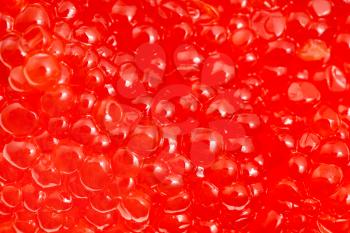 food background - salted russian red caviar of sockeye salmon fish close-up