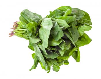 bunch of fresh green spinach herb isolated on white background