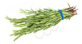 bunch of fresh rosemary herb isolated on white background