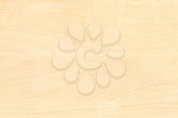 wooden background - laminate with pattern of birch wood