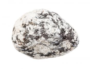 closeup of sample of natural mineral from geological collection - pebble of Diorite rock isolated on white background