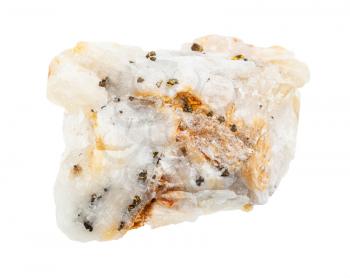 closeup of sample of natural mineral from geological collection - native gold in unpolished quartz rock isolated on white background