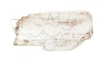 closeup of sample of natural mineral from geological collection - unpolished transparent Gypsum rock isolated on white background