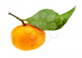 side view of ripe fresh Abkhazian mandarine with green leaves isolated on white background