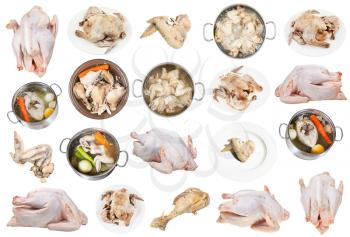 collection of raw and boiled chicken meat isolated on white background