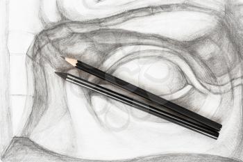 top view of two different graphite pencils on hand-drawn academic drawing of David's eye