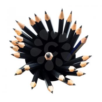top view of many black graphite pencils in round holder with lead pencil in center isolated on white background