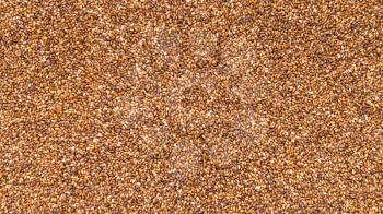 panoramic food background - uncooked whole-grain teff seeds close up