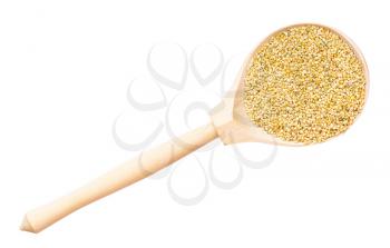 top view of whole-grain foxtail millet seeds in wood spoon isolated on white background