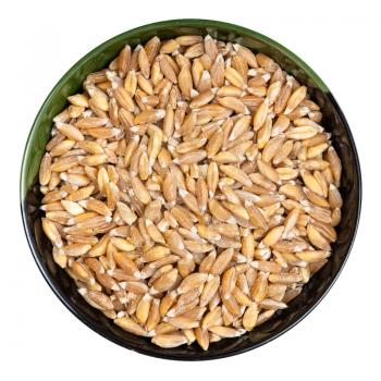 top view of Emmer farro hulled wheat grains in round bowl isolated on white background