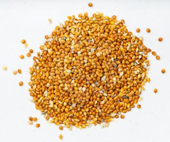 top view of pile of unhulled proso millet grains close up on gray ceramic plate