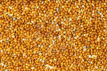 food background - top view of unhulled proso millet grains