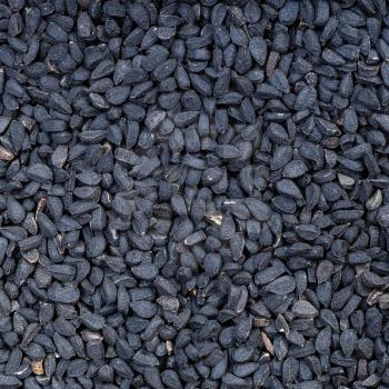 square food background - Nigella sativa seeds (black caraway) close up