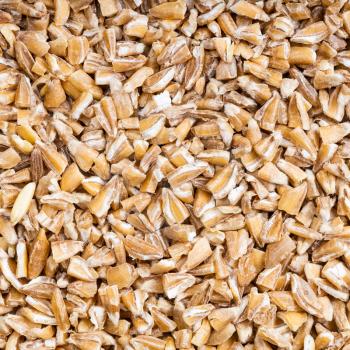 square food background - uncooked crushed Emmer farro hulled wheat groats close up