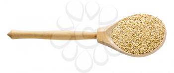 wooden spoon with uncooked quinoa grains isolated on white background