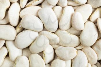 food background - raw white lima beans