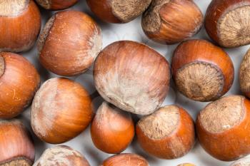 food background - many ripe whole hazelnuts