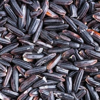 square food background - raw black rice grains close up