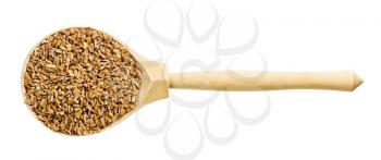 top view of wood spoon with uncooked crushed Emmer farro hulled wheat groats isolated on white background