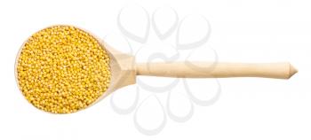 top view of wood spoon with uncooked polished proso millet grains isolated on white background