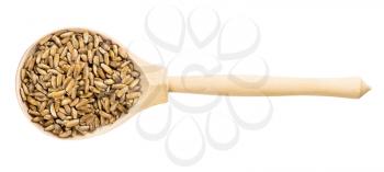 top view of wood spoon with whole milk thistle seeds isolated on white background