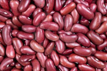 food background - raw red kidney beans