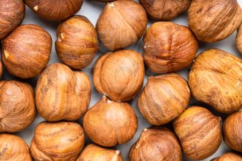 food background - many ripe shelled hazelnuts