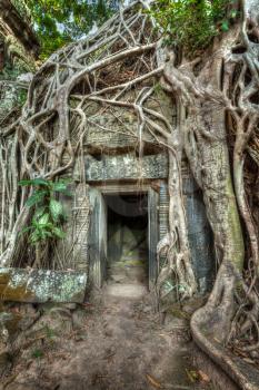 High dynamic range (hdr) image of ancient stone door and tree roots, Ta Prohm temple ruins, Angkor, Cambodia