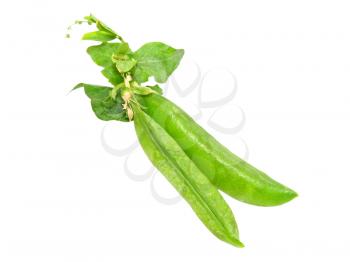 Green peas isolated on white background.