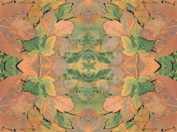 Autumn leaves as abstract kaleidoscope background.