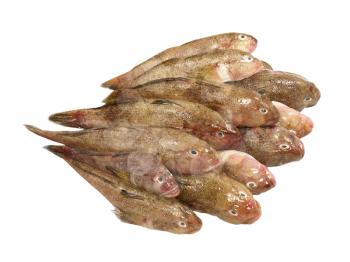 Heap of fresh fish isolated on a white background.