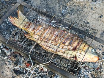 Appetizing fish is preparing on grill.