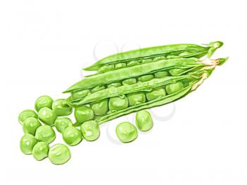 Green peas taken closeup on a white background.