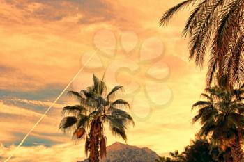 Fighter aircraft fuel trace in the red dramatic turkish sky over palm tree and mount.Toned image.