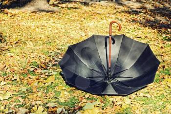 Overturn black umbrella on yellow foliage in autumn park.