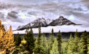 Scenic View Rocky mountains Alberta Canada Jasper Highway