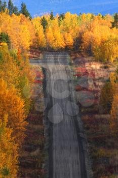 Autumn trees along British Columbia road