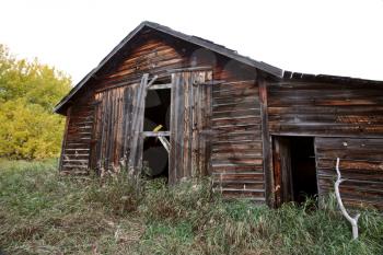 Abandoned homestead in Alberta