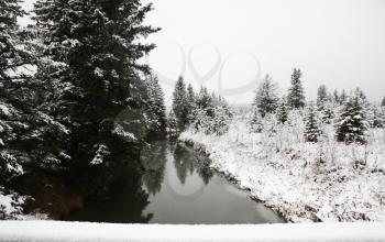 Winter day in the Cypress Hills of Saskatchewan