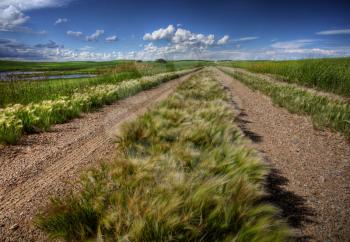 Road through Chaplin Lake Marshes in Saskatchewan