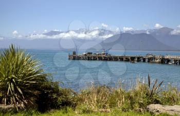 Jackson Bay New Zealand South Island West Coast