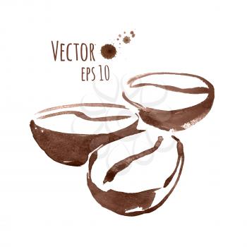Coffee beans. Hand drawn watercolor sketch. Vector illustration. isolated.