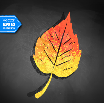 Vector top view illustration of yellow autumn leaf lying on black chalkboard background.