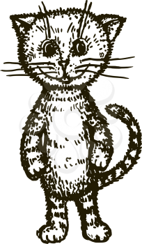 hand drawn, cartoon, sketch illustration of kitten